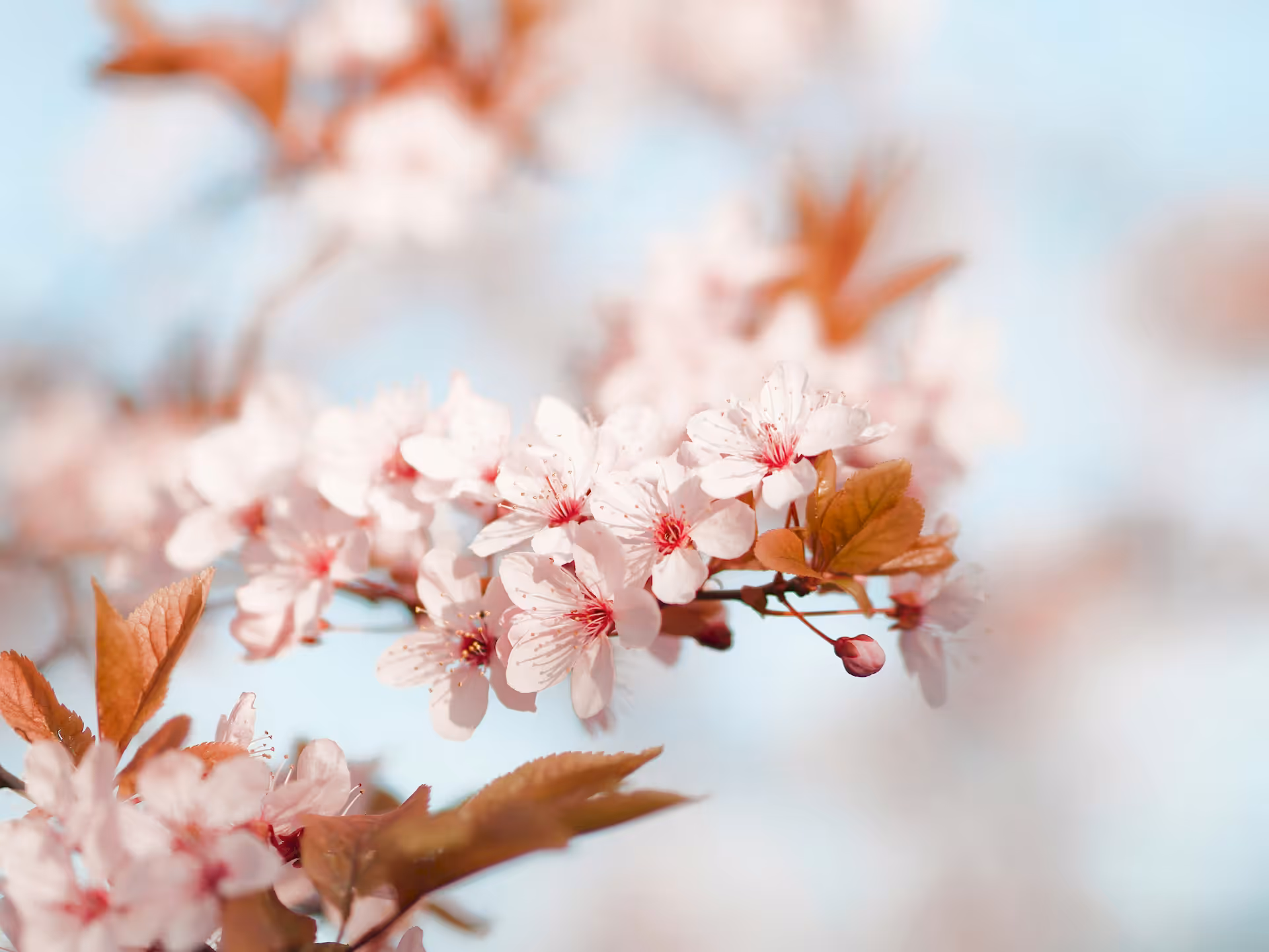 test19124's blog